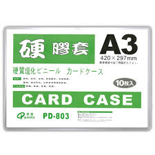 Card case A3